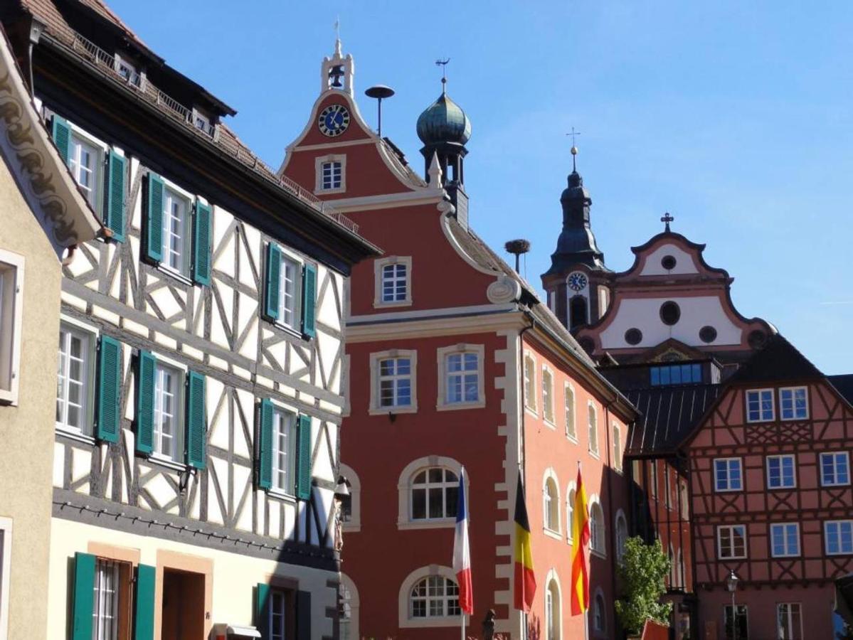 Апартаменты Perfekt Fuer Familien Und Gruppen Nur 10Min Vom Europapark - W6 Эттенхайм Экстерьер фото